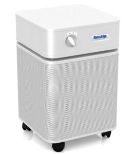 Austin Air B400B1 Standard Unit Healthmate Air Purifier