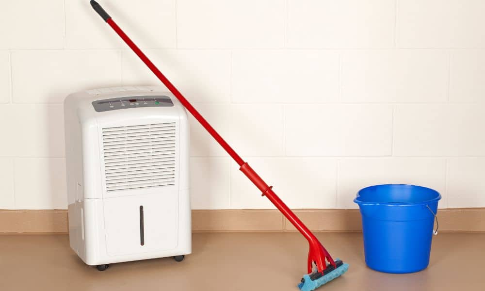 Dehumidifier Maintenance