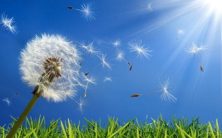 Suffering from seasonal allergies