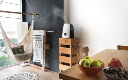 dual mist ultrasonic humidifier