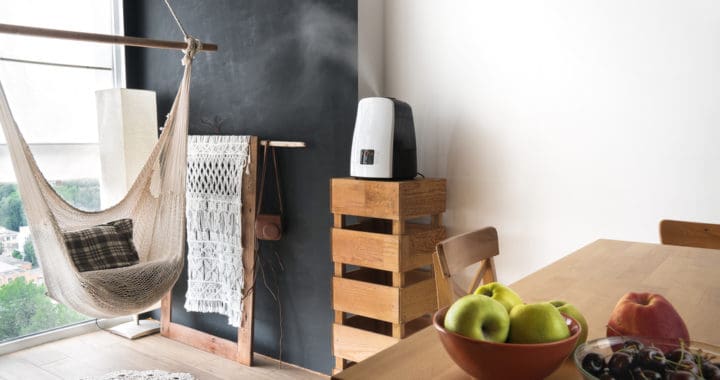 dual mist ultrasonic humidifier