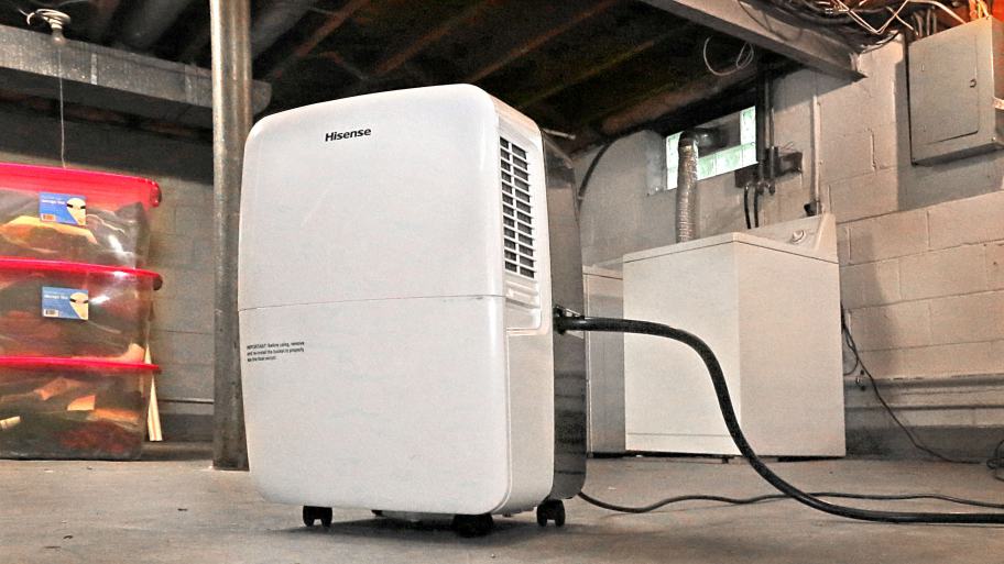 ezvid best dehumidifiers