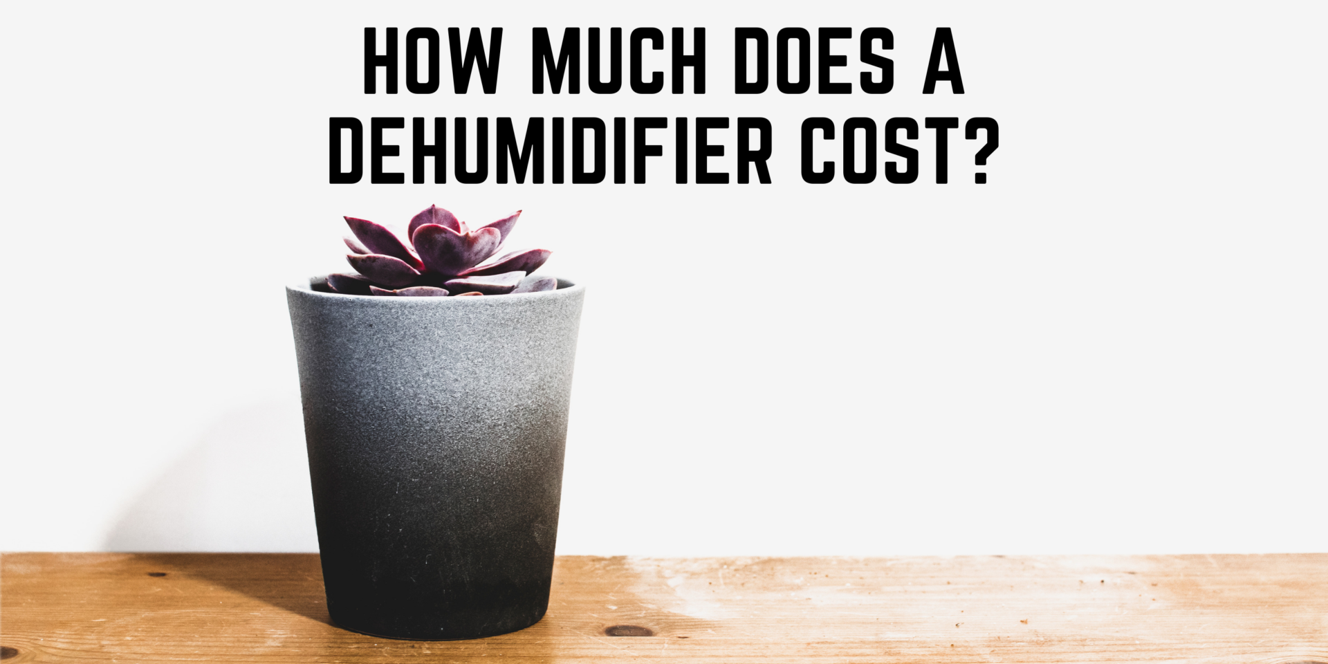 How Much Does A Dehumidifier Cost Top 5 Best CostEffective Dehumidifiers IndoorBreathing