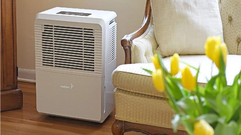 Top 5 50 Pint Dehumidifier