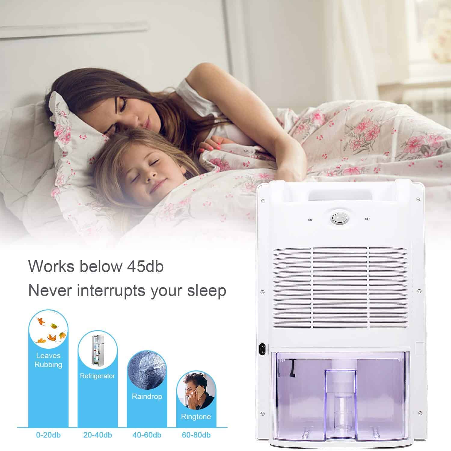 Latitop Small Dehumidifier Review