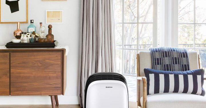 Rinkmo PD100A 30 Pint Dehumidifier Review