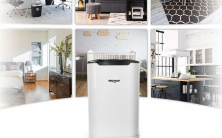 Okaysou AirMax8L Air Purifier Review