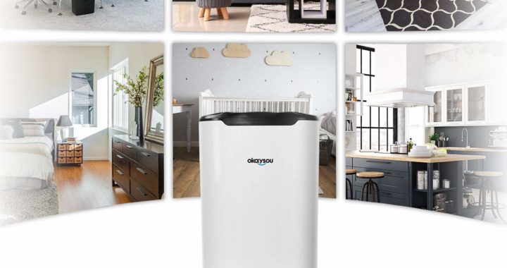 Okaysou AirMax8L Air Purifier Review