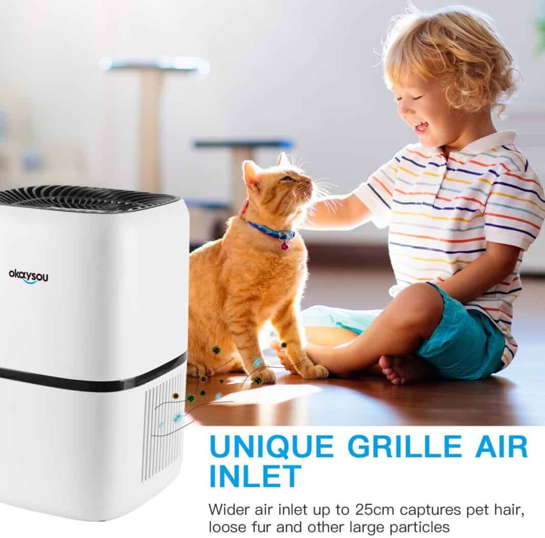 Okaysou AirMic4S Air Purifier Review IndoorBreathing