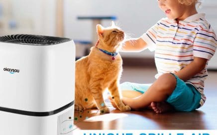 Okaysou AirMic4S Air Purifier Review