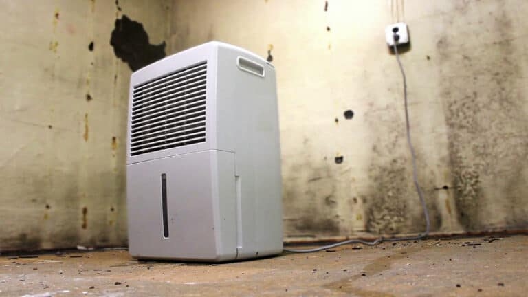 Top 10 Best Basement Dehumidifiers