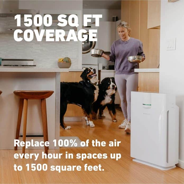 Hathaspace HSP002 Air Purifier for large spaces