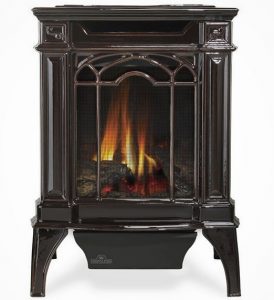 Napoleon GDS20 Gas Stove