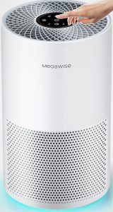 MegaWise Smart Air Purifier Review
