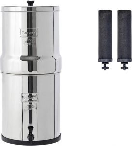 Big Berkey Gravity-Fed Water Filter review