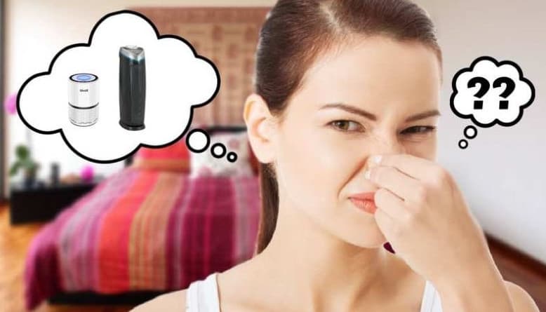 Air Purifier removes odor