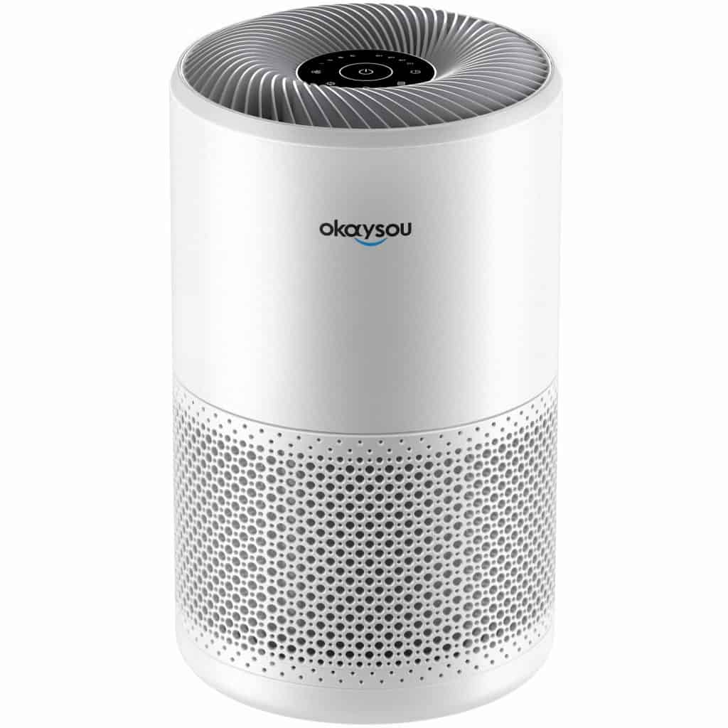 Okaysou Cayman 608 Air Purifier for Home Allergies and Pets Review