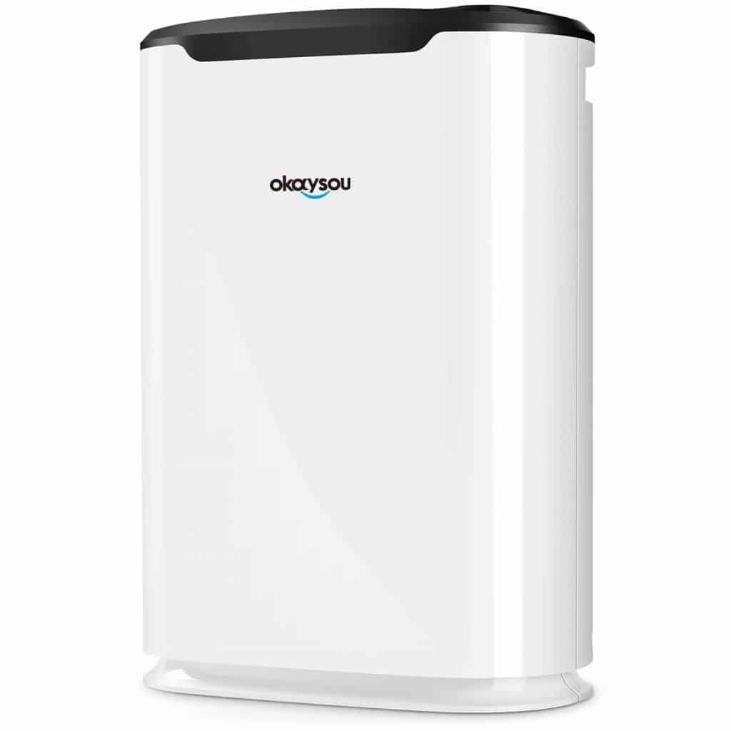 Okaysou AirMax8L Air Purifier Review