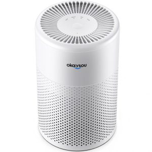 Okaysou Pega 100 Air Purifier for Home Bedroom