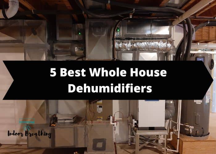 5 Best Whole House Dehumidifiers
