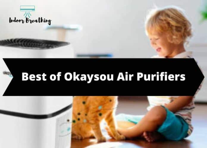 Best of Okaysou Air Purifiers. Best Price Performance on the Market
