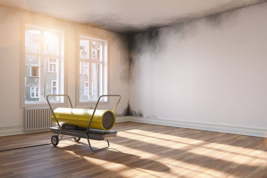 Signs You Need Whole House Dehumidifier