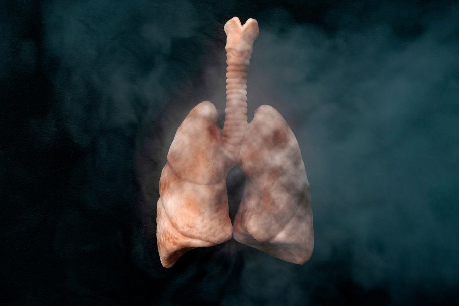 Things You Need to Know About Smoke and Your Health
