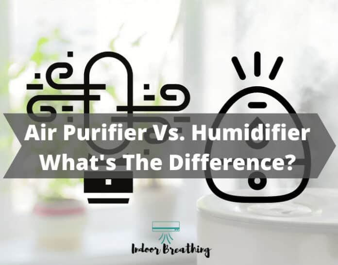 Air Purifier Vs. Humidifier, What's The Difference
