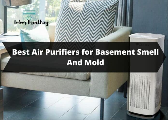 Best Air Purifiers for Basement Smell And Mold