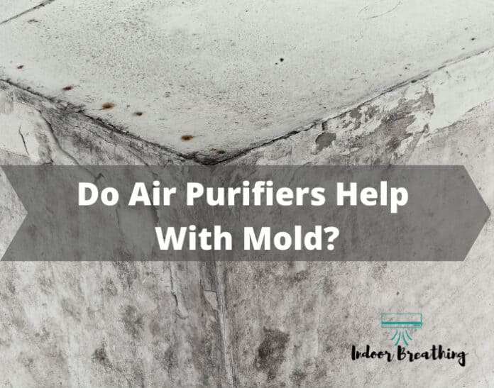 Do Air Purifiers Help With Mold