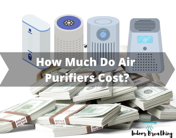 How Much Do Air Purifiers Cost
