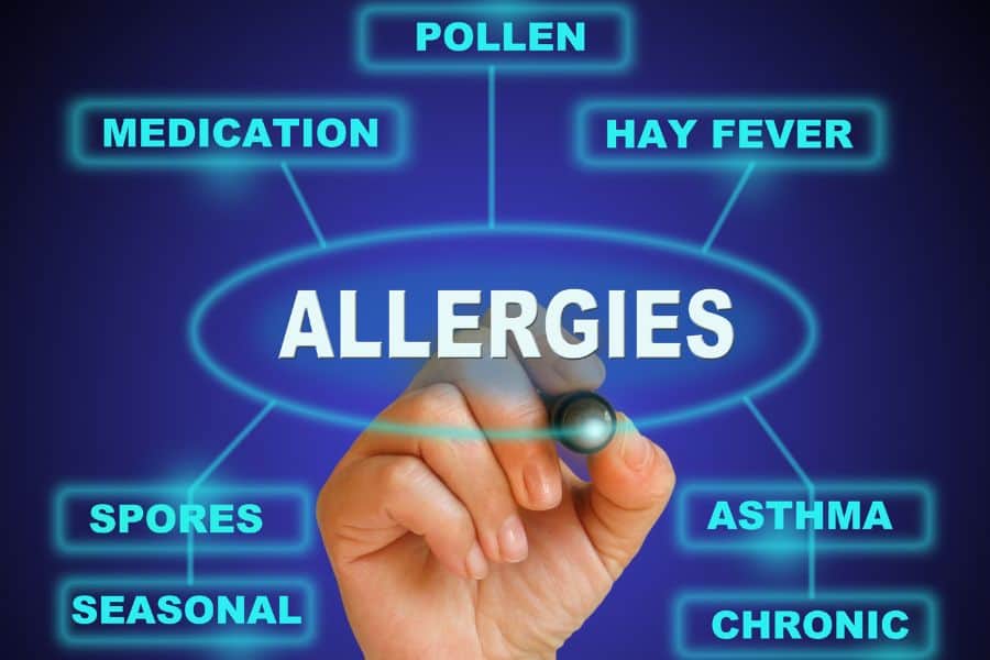 Indoor Allergy Sources