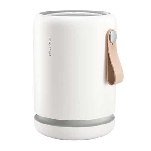 Molekule Air Mini+ Air Purifier Review 