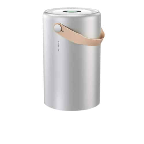 Molekule Air Pro Air Purifier