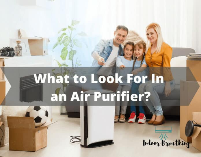 What to Look For In an Air Purifier?