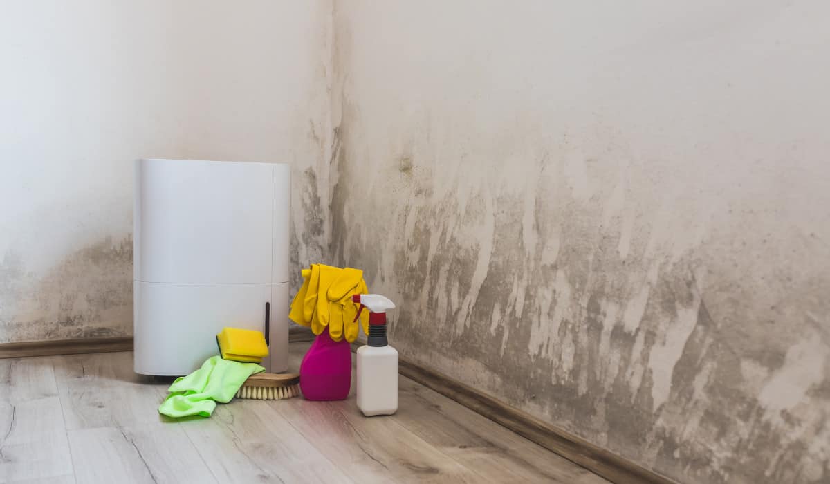 dehumidifier in your basement