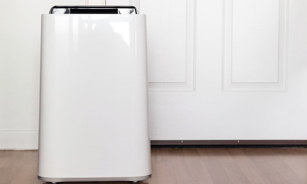 Can an Air Purifier Be Too Big for a Room?