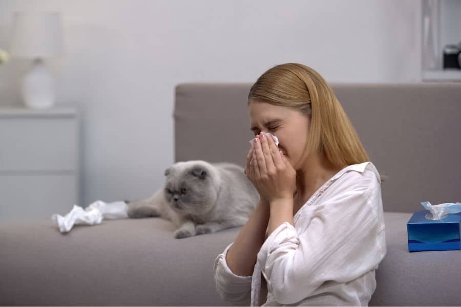 Coping With Your Cat Allergy Symptoms at Home
