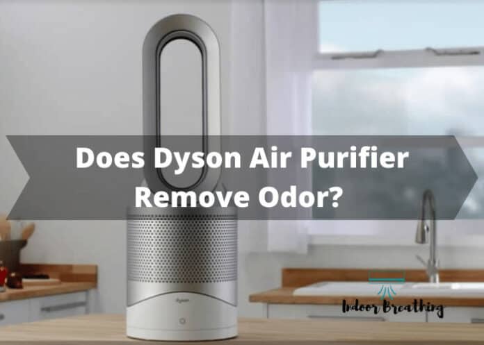 Does Dyson Air Purifier Remove Odor?