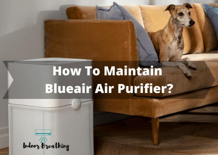 How To Maintain Blueair Air Purifier?