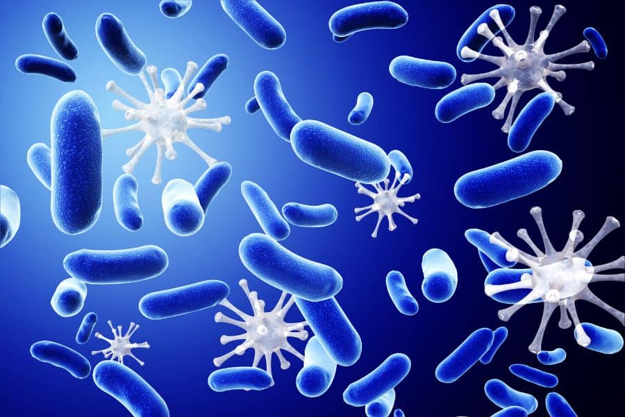 Most Common Airborne Bacteria and Viruses