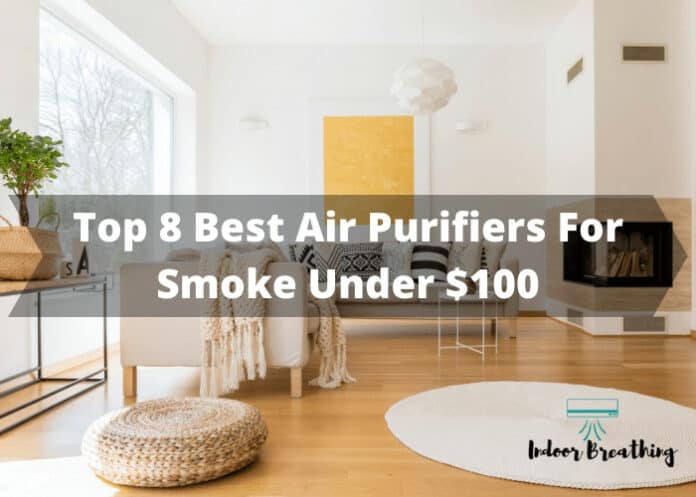 Top 8 Best Air Purifiers For Smoke Under $100