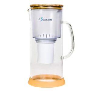 Pitcher of Life Alkaline Water Glass Pitcher