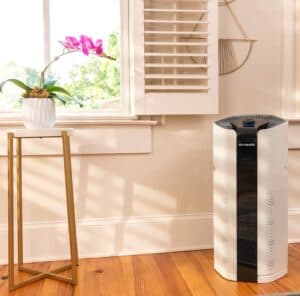 Air Health Skye Portable Air Purifier