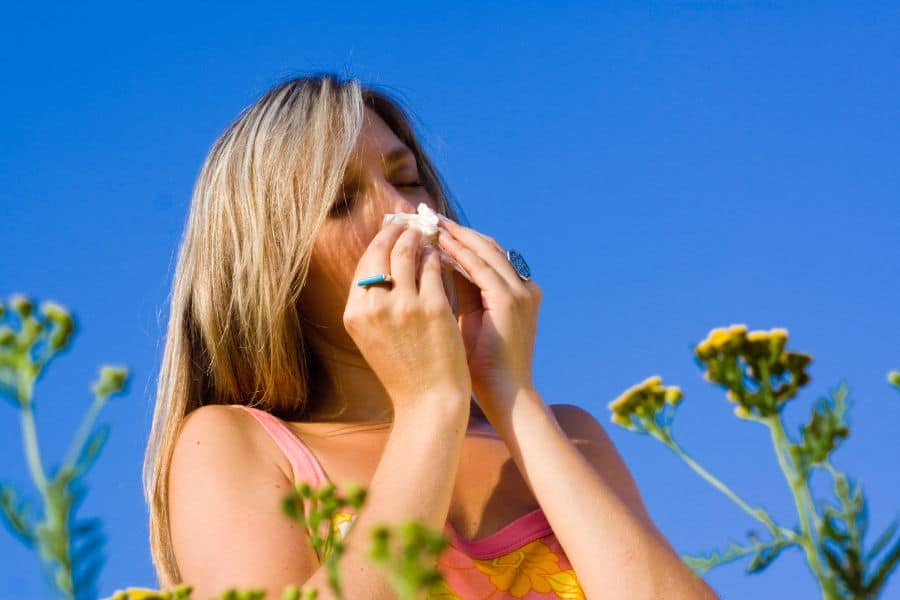 Will an Air Purifier Help With Seasonal Allergies?