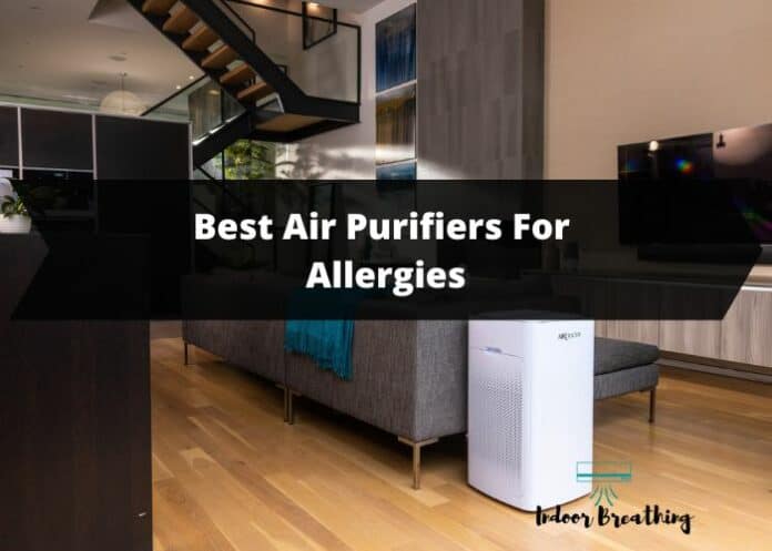 Best Air purifiers for alelrgies