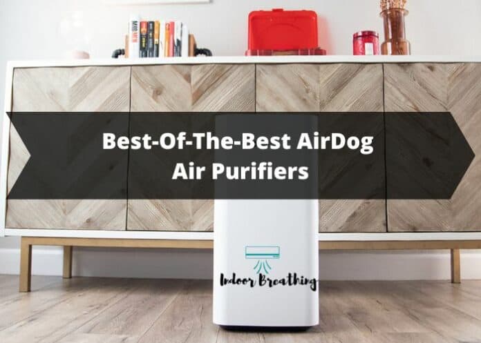Best AirDog air purifiers