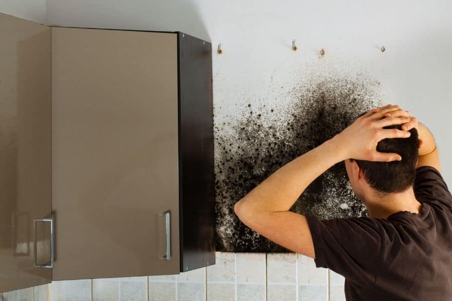 How Mold Spores Affect Your Health?