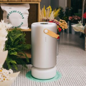 Molekule Air Pro Air Purifier