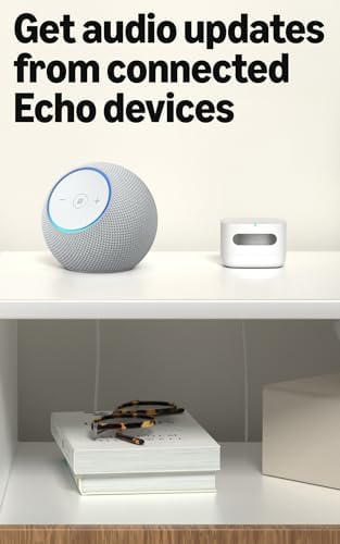 Amazon Smart Air Quality Monitor next to an Echo device for audio alerts